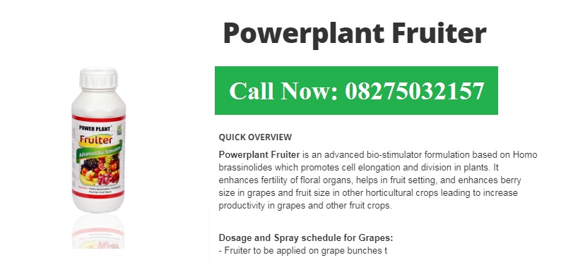 Green Planet Bio Products Ahmednagar Mobile  shop Ahmednagar